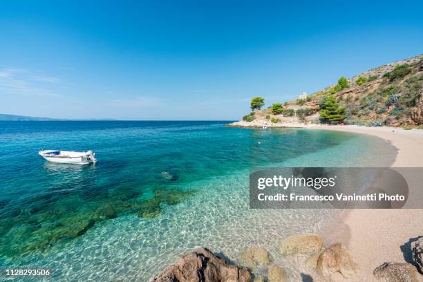 murvica beach, brac island, croatia. - croatia coast imagens e fotografias de stock