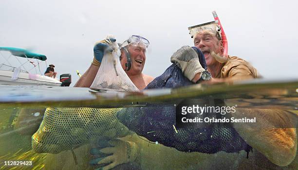 Bob Horne of Miami, Florida, left, and Tom Brechtel of the Villages in Sumter County, dive for scallops, June 21, 2010 in the Gulf of Mexico, three...