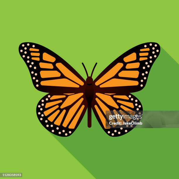 ilustraciones, imágenes clip art, dibujos animados e iconos de stock de icono de la mariposa plana - mariposa monarca