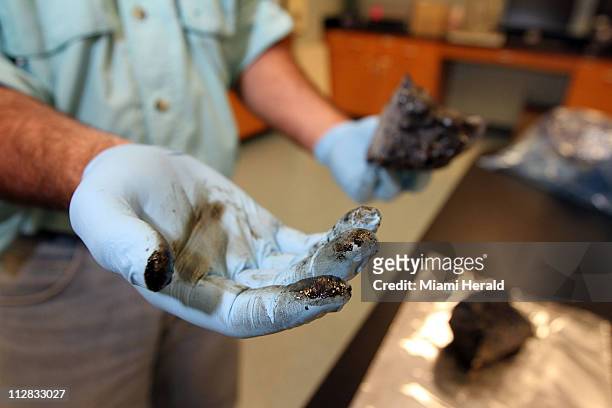 Monty Graham, senior marine scientist, shows the oily substance from a piece of charred material at the Dauphin Island Sea Lab in Dauphin Island,...