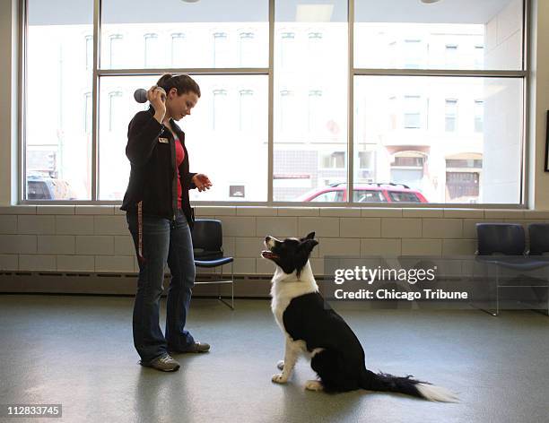 Amanda Kowalski, left, Animal Behavior and Braining Assistant at the Anti-Cruelty Society in Chicago, takes "Baxter," a border collie mix with a...