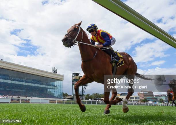 Damian Lane riding Nature Strip winning Race 4, Schweppes Rubiton Stakes during Melbourne Racing at Caulfield Racecourse on February 09, 2019 in...
