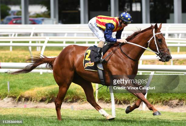 Damian Lane riding Nature Strip winning Race 4, Schweppes Rubiton Stakes during Melbourne Racing at Caulfield Racecourse on February 09, 2019 in...