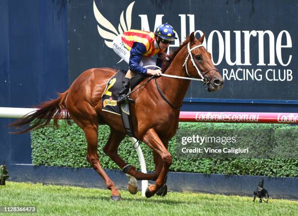 Damian Lane riding Nature Strip winning Race 4, Schweppes Rubiton Stakes during Melbourne Racing at Caulfield Racecourse on February 09, 2019 in...