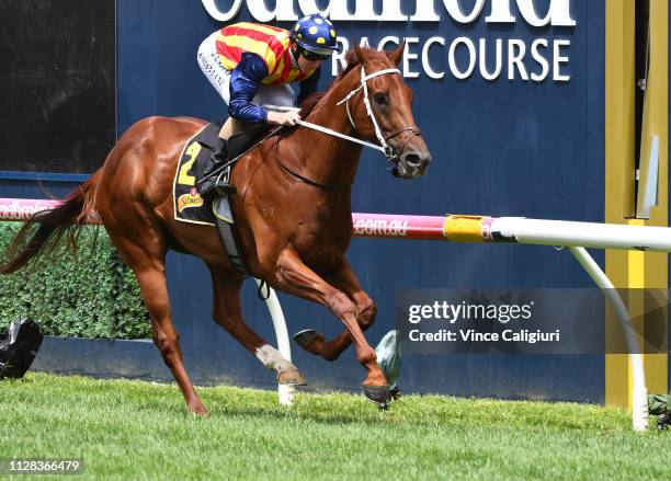 Damian Lane riding Nature Strip winning Race 4, Schweppes Rubiton Stakes during Melbourne Racing at Caulfield Racecourse on February 09, 2019 in...