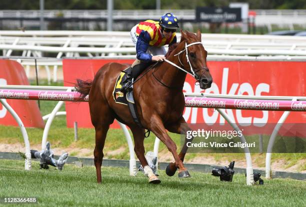 Damian Lane riding Nature Strip winning Race 4, Schweppes Rubiton Stakes during Melbourne Racing at Caulfield Racecourse on February 09, 2019 in...