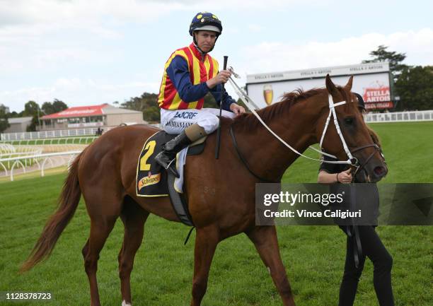 Damian Lane riding Nature Strip after winning Race 4, Schweppes Rubiton Stakes during Melbourne Racing at Caulfield Racecourse on February 09, 2019...