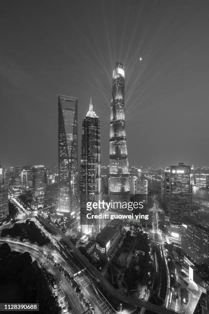 panoramic skyline of shanghai - 建築風格 bildbanksfoton och bilder