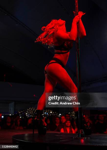 Pole dancer performs on stage at The Naughty But Nice Show at Vancouver Convention Centre on February 08, 2019 in Vancouver, Canada.