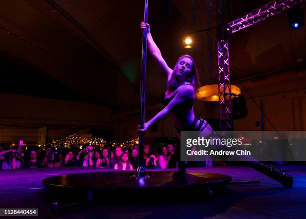 Pole dancer performs on stage at The Naughty But Nice Show at Vancouver Convention Centre on February 08, 2019 in Vancouver, Canada.