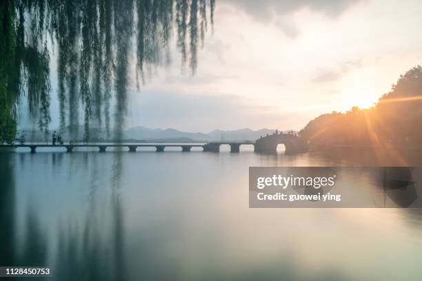 west lake- hangzhou - 成年人 stockfoto's en -beelden