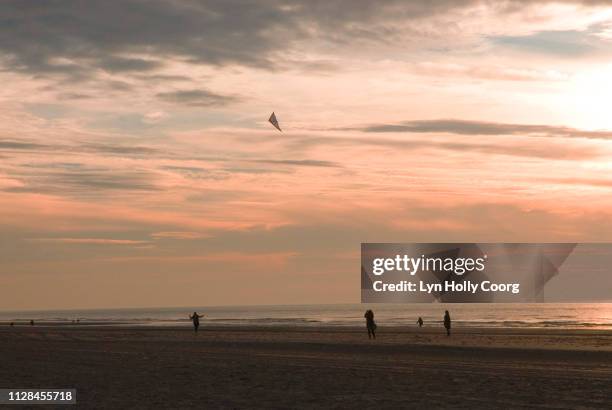 beach at sunset with figures silhouetted flying a kite - lyn holly coorg fotografías e imágenes de stock