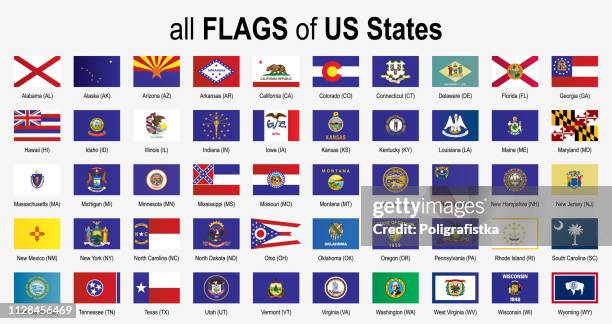 all 50 us state flags - alphabetically - icon set - vector illustration - us state flags stock illustrations