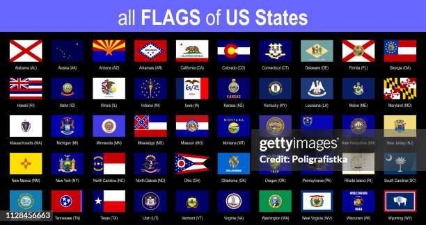 stockillustraties, clipart, cartoons en iconen met alle 50 amerikaanse staat vlaggen - alfabetisch - icon set - vector illustratie - new york state flag vector
