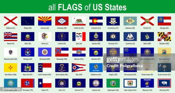 all 50 us state flags - alphabetically - icon set - vector illustration - colorado v washington state stock illustrations