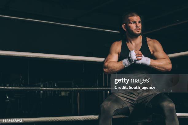 tough boxer sitting boxing ring - mma ring stock pictures, royalty-free photos & images