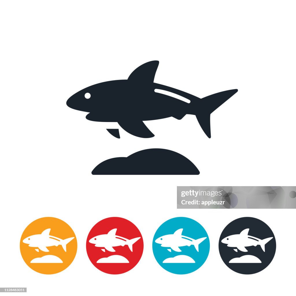 Shark Icon