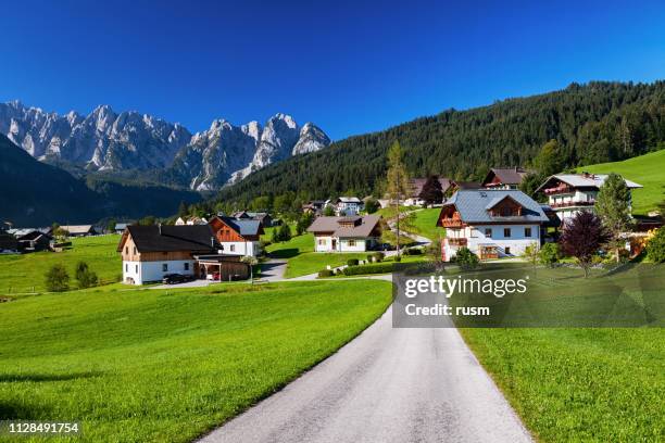 uitzicht op gosau vallei, salzkammergut, oostenrijk - oostenrijk stockfoto's en -beelden