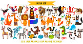 Mega set of cute cartoon animals: wild animals, marina animals.Vector illustration isolated on white background.