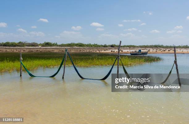 blue lagoon, a paradise in jericoacoara. - cor verde stock pictures, royalty-free photos & images