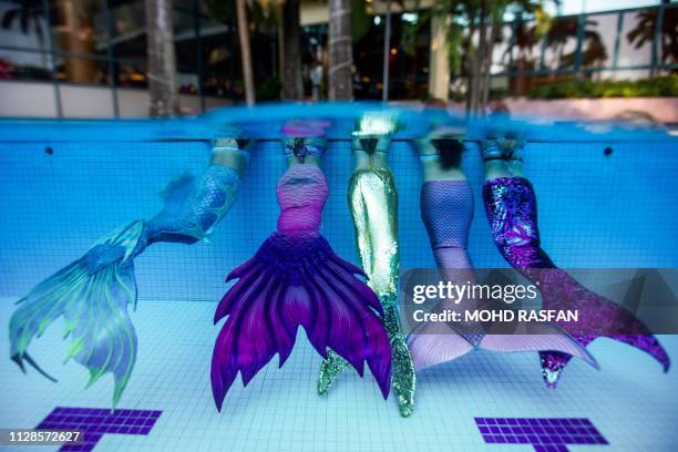 Mermaid Ride Pool 667 Mermaid Pools Stock Photos, High-Res Pictures, and Images - Getty ...