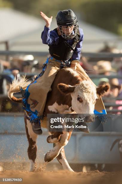 678 Junior Rodeo Stock Photos, High-Res Pictures, and Images - Getty Images