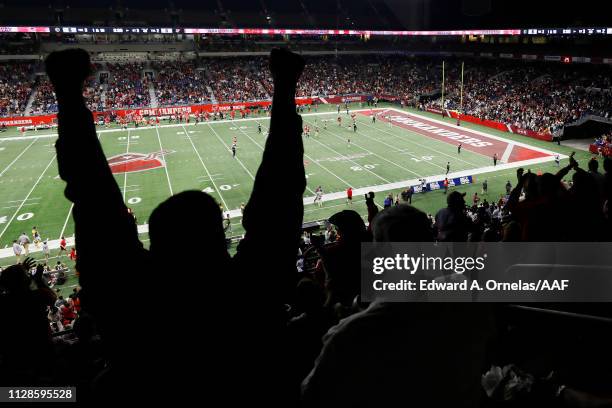 Fan cheers during an Alliance of American Football game between the San Diego Fleet and the San Antonio Commanders at the Alamodome on February 09,...