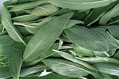 A close-up on a pile of sage leaves