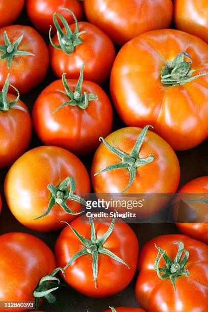 at the market: tomatoes - beefsteak tomato stock pictures, royalty-free photos & images
