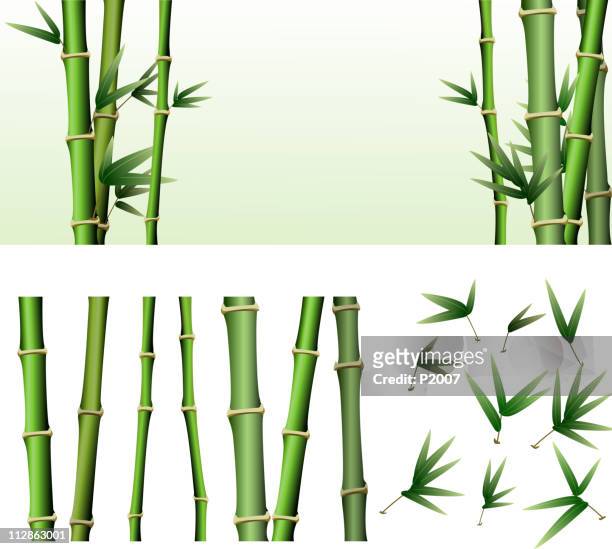 bamboo design elements - bamboo leaf stock illustrations