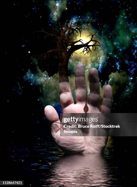163 Time Tree High Res Illustrations - Getty Images
