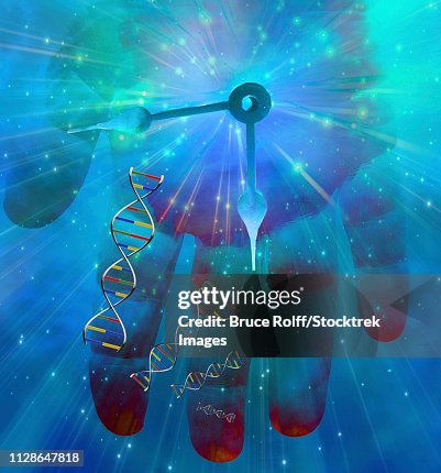DNA Human Clock. 3D rendering DNA Human Clock. 3D rendering