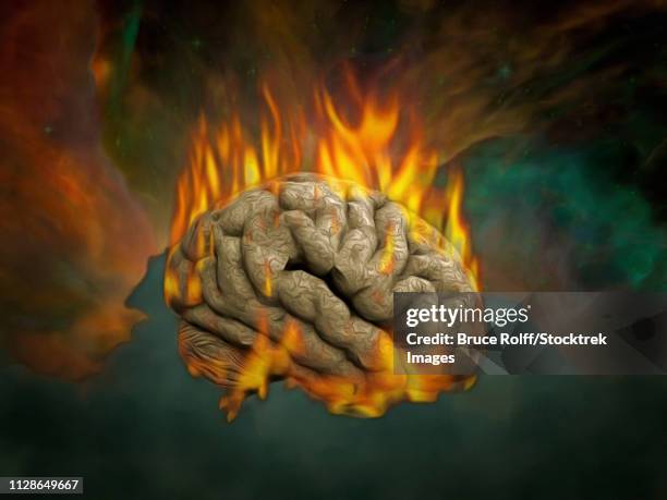 surreal painting. burning brain. - hirnverbrannt stock-grafiken, -clipart, -cartoons und -symbole