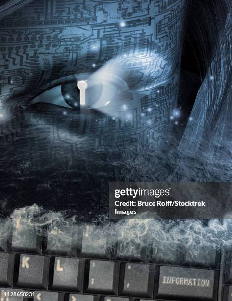 high resolution computer search and security - looking at computer screen close up stock illustrations