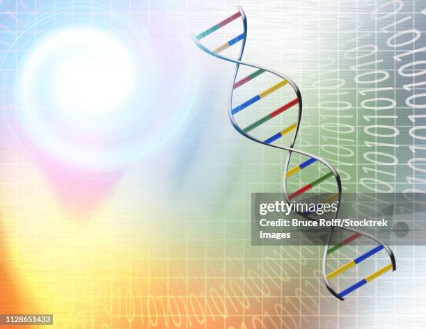 Binary Strand Binary Double Helix Dna Photos and Premium High Res Pictures - Getty Images