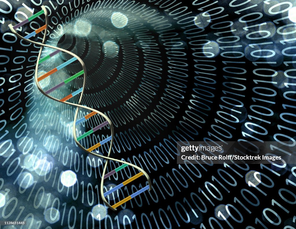 Binary Strand Binary Tunnel And Dna Strand High-Res Vector Graphic - Getty Images