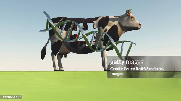 cow with dna strand and hole in puzzle shape - language processing stock illustrations