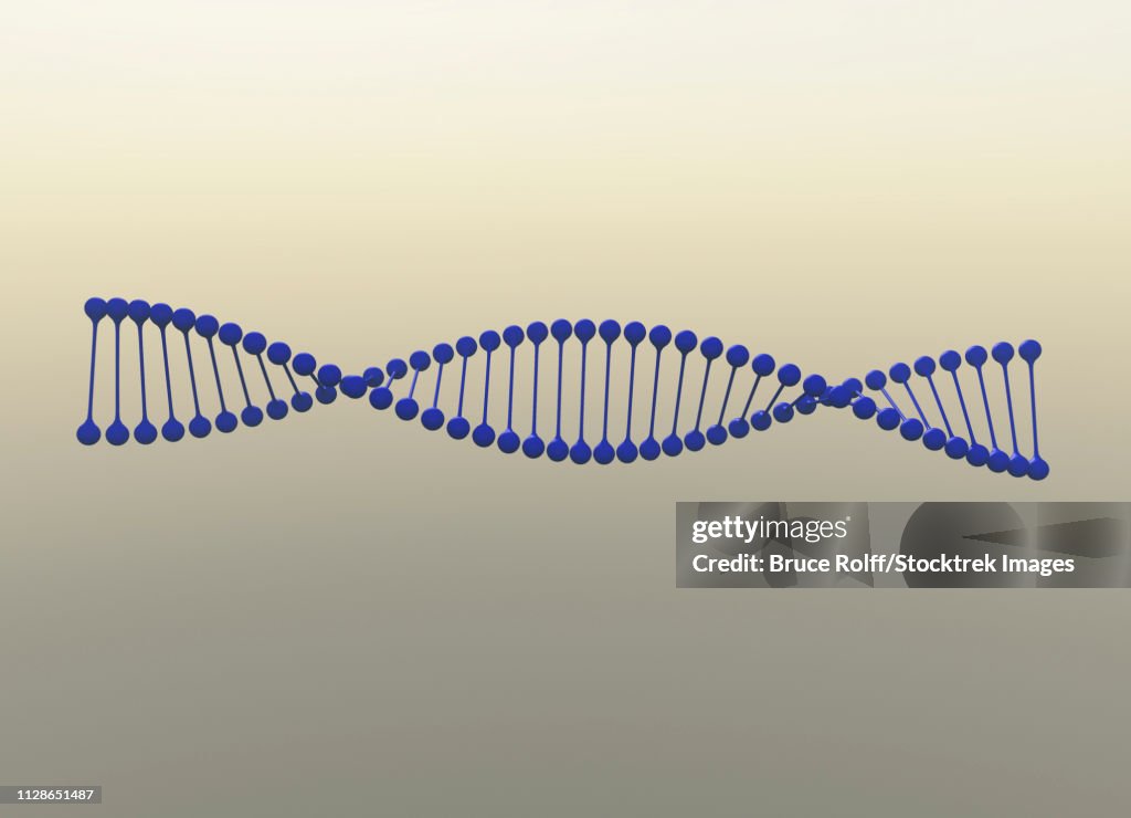 Dna Strand Simple Picture Example Digital Image Of Dna Strand High-Res Vector Graphic - Getty Images
