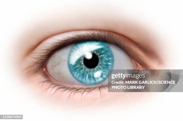 Ilustraciones de Ojos Azules - Getty Images Ilustraciones de Ojos Azules - Getty Images