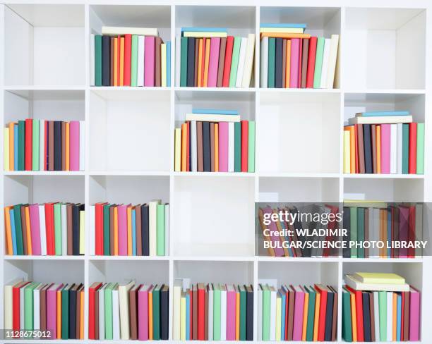 books on a bookshelf - bookshelf foto e immagini stock