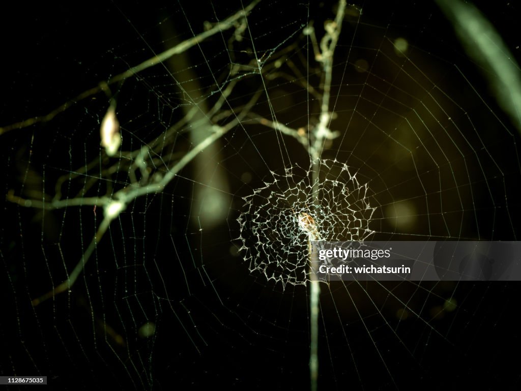 Spider tirando corde a forma simile alla macchina da cucire