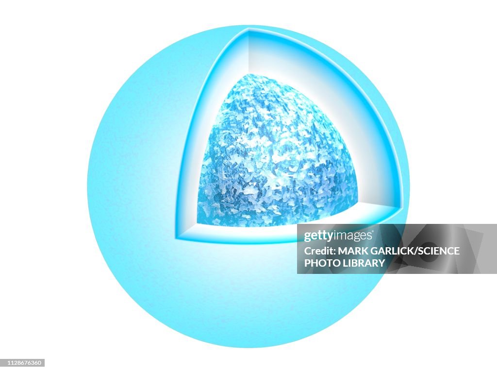 Structure of a white dwarf, illustration