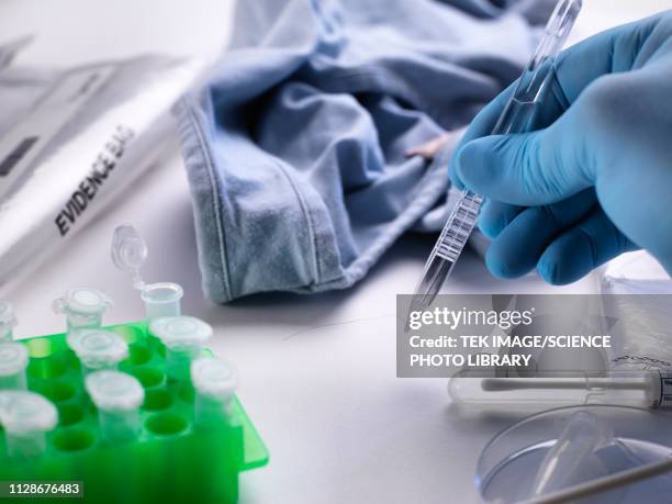 forensic investigation - forensic lab stock pictures, royalty-free photos & images