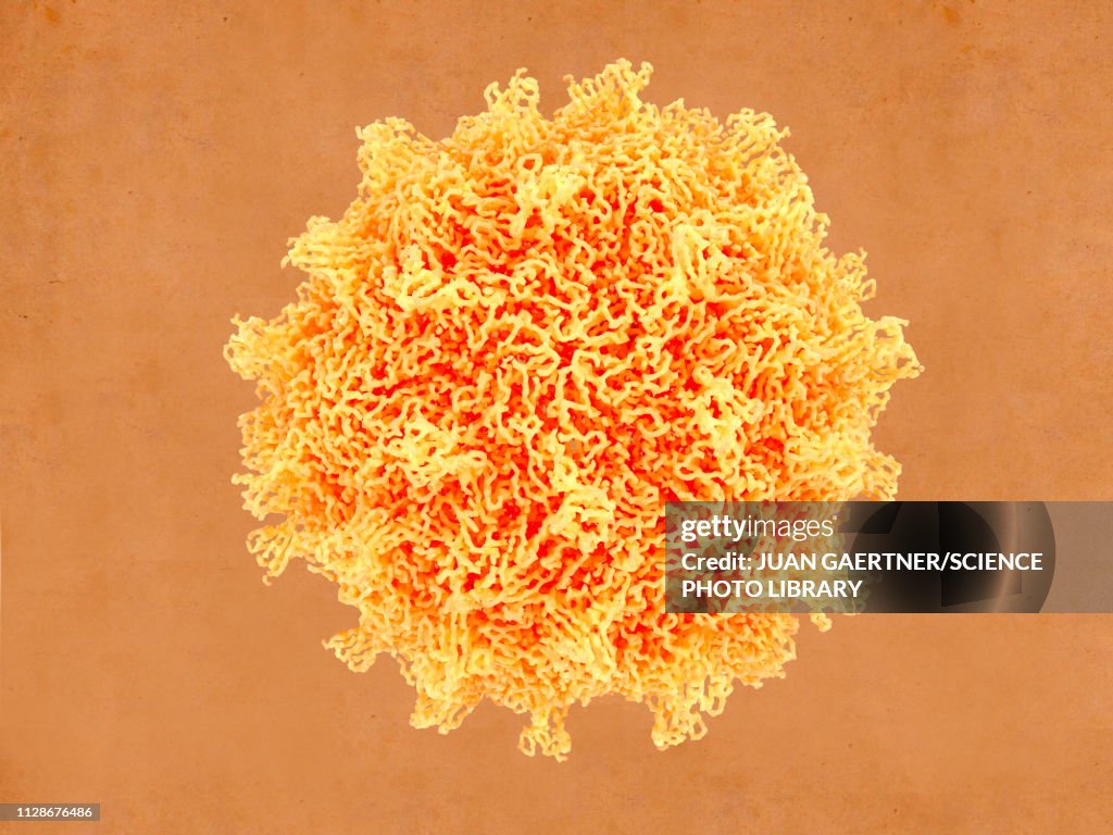 Coxsackievirus virus particle, illustration
