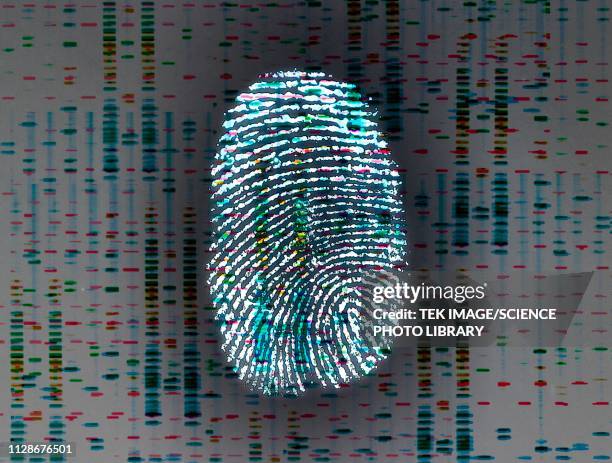 identity, conceptual image - digital forensics stock illustrations