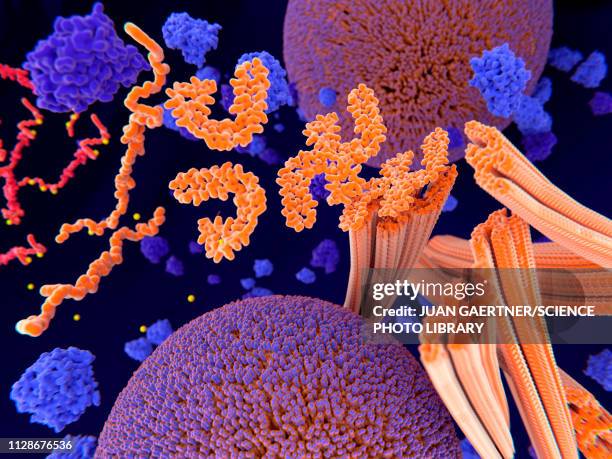 stockillustraties, clipart, cartoons en iconen met tau protein in alzheimer's disease, illustration - ziekte van alzheimer