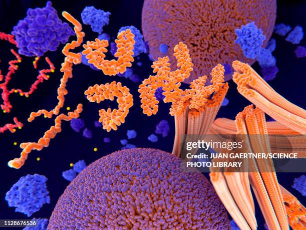 stockillustraties, clipart, cartoons en iconen met tau protein in alzheimer's disease, illustration - neurofibrillary tangle