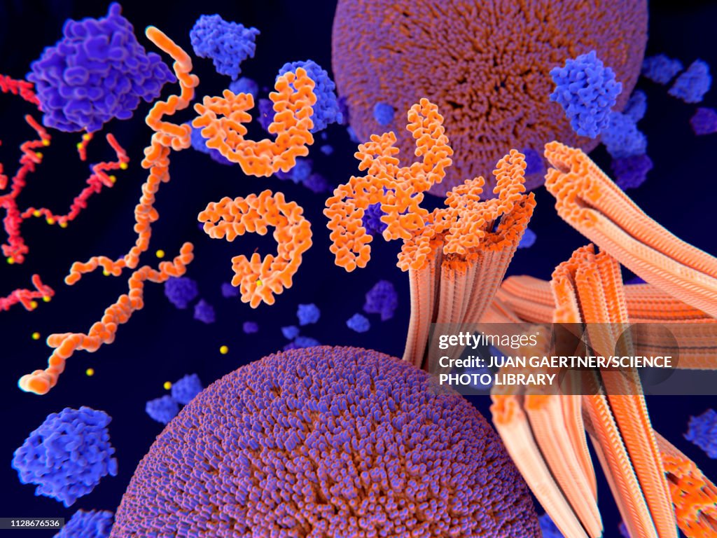 Tau protein in Alzheimer's disease, illustration