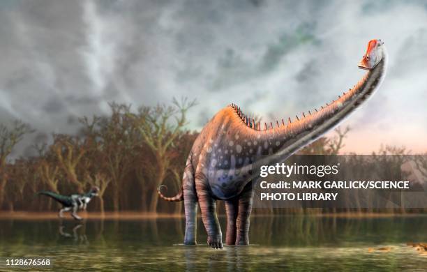 diplodocus dinosaur, illustration - allosaurus stock illustrations