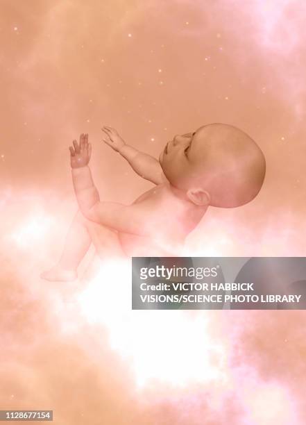 baby floating, illustration - babies only stock illustrations